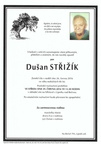 UO-Dusan-Strizik-Z-2016